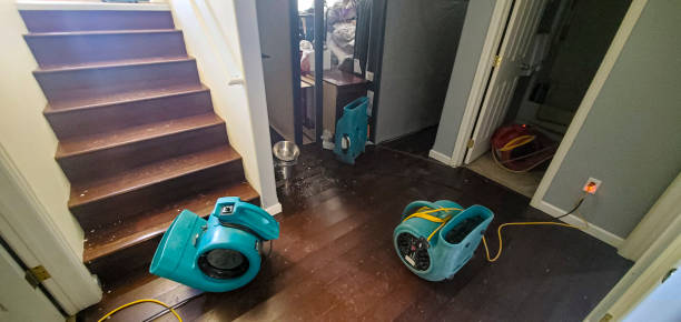 Best 24-hour water damage restoration  in Cedar Hill, MO