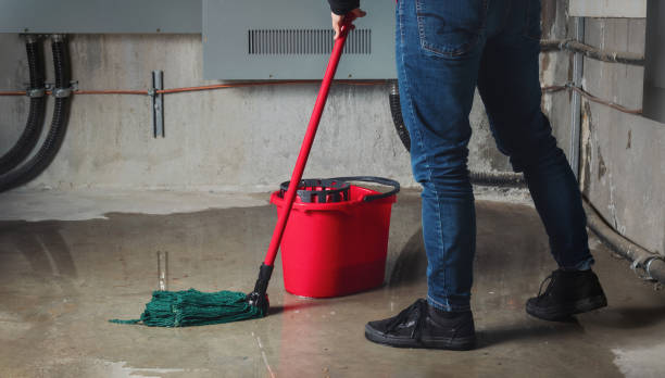 Best Water damage mitigation services  in Cedar Hill, MO