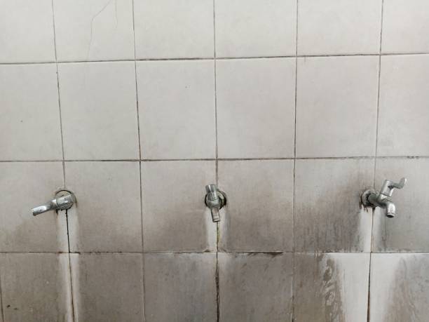 Best Mold removal after water damage  in Cedar Hill, MO
