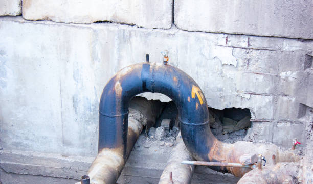 Best Basement water damage restoration  in Cedar Hill, MO