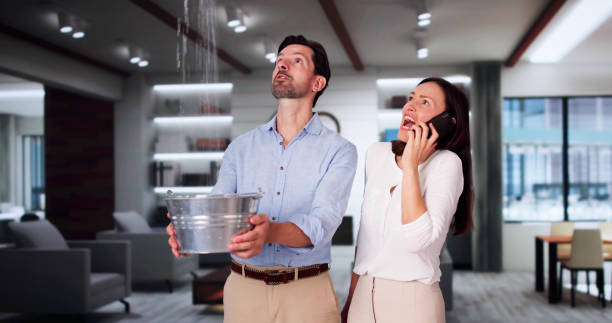 Best 24-hour water damage restoration  in Cedar Hill, MO